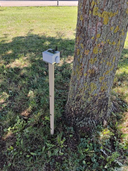 Multisensor Bodensonde neben Baum
